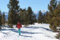 Cross Country Skiing the Leadville Mineral Belt Trail 